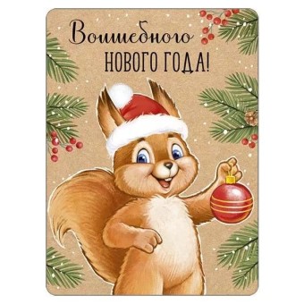 Винил.магнит Волшебного Нового года!